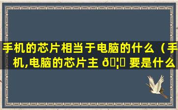 手机的芯片相当于电脑的什么（手机,电脑的芯片主 🦋 要是什么物质组成的）